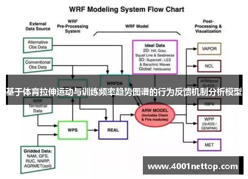 基于体育拉伸运动与训练频率趋势图谱的行为反馈机制分析模型